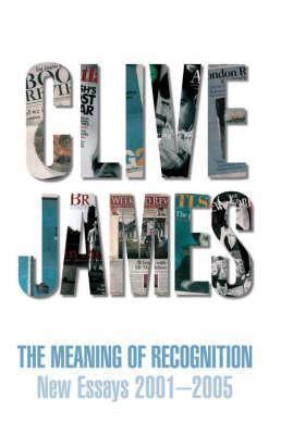 Meaning of Recognition New Essays 2001 2005 Epub