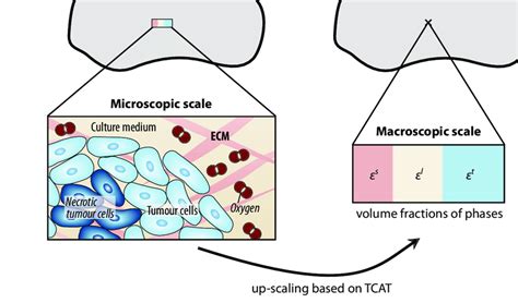 Measuring the Microscopic to the Macroscopic