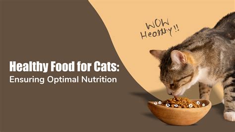 Meat for Cats and Dogs: A Guide to Nutrition and Safety