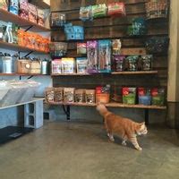 Meat for Cats and Dogs: Portland's Top Choices