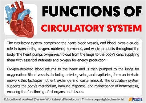 Mechanics of the Circulation Reader