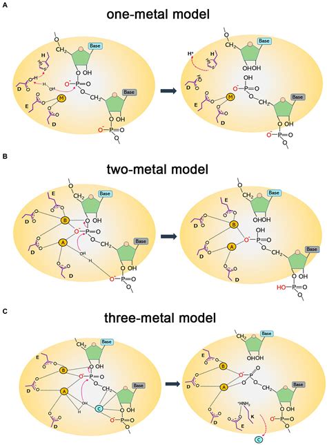 Mechanism