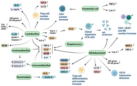 Mechanism of Action: