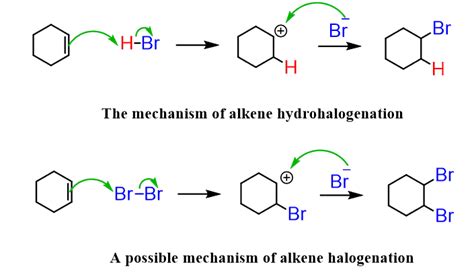 Mechanism of the Halo