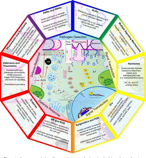 Mechanisms of Resistance to Plant Diseases Reader