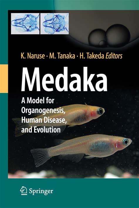 Medaka Model for Organogenesis, Human Disease and Evolution 1st Edition PDF