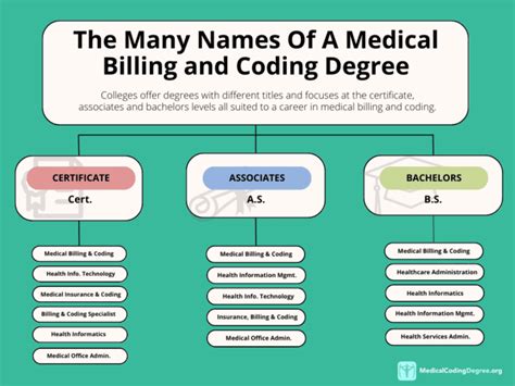 Medical Billing and Coding Degree in 10,000+ Words