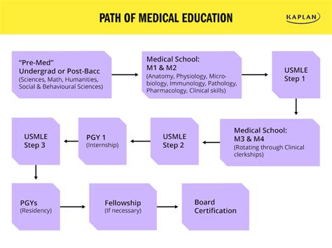 Medical Doctor Career Path