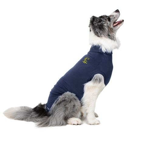 Medical Pet Shirt: A Revolutionary Solution for Monitoring and Treating Your Furry Friends