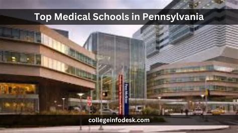 Medical Schools in Pennsylvania: Your 2023 Guide to 13 Top Institutions