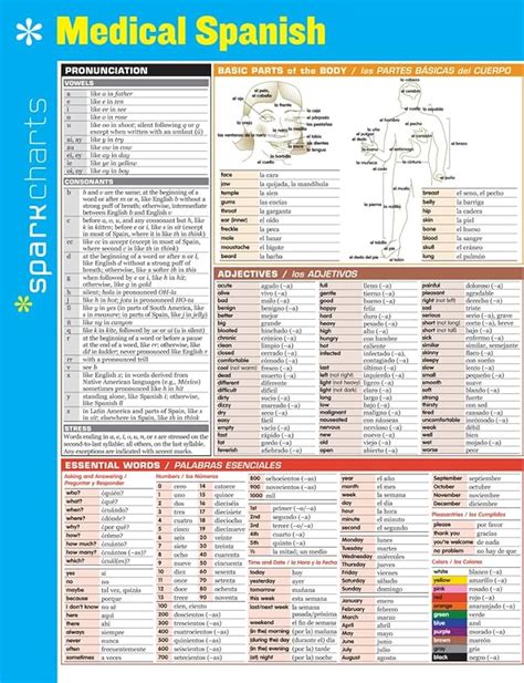 Medical Spanish Chart