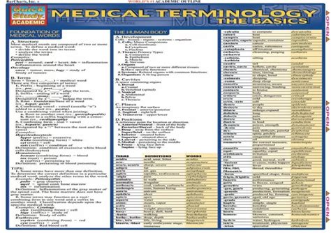 Medical Terminology Basics Quickstudy Academic Epub