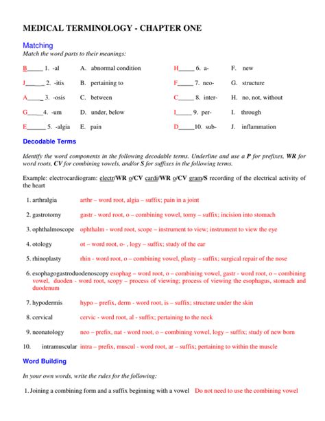 Medical Terminology Chapter 9 Answers PDF