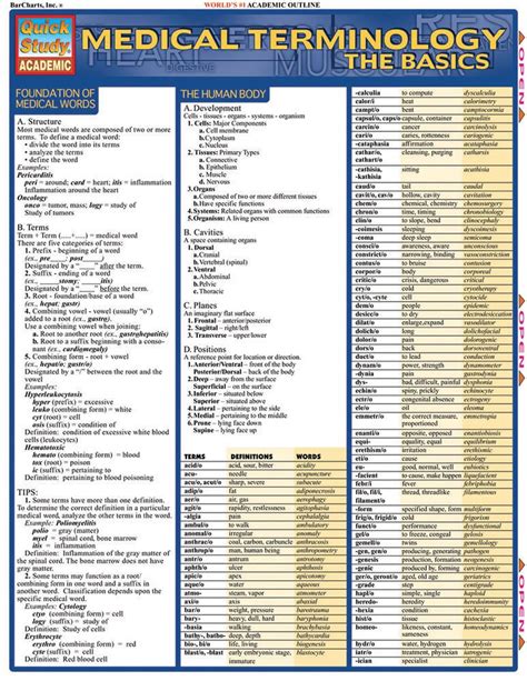 Medical Terminology Quick & Concise: Kindle Editon