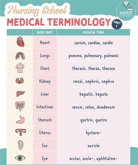 Medical Terminology for Nursing Students PDF