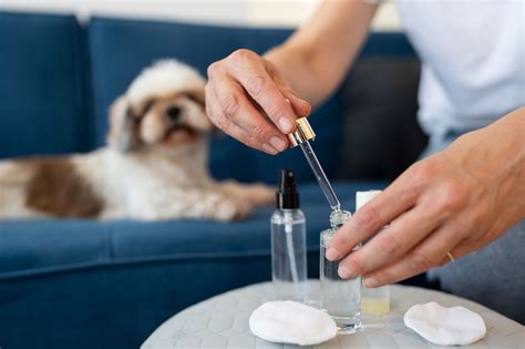 Medication for Aggressive Dogs: A Comprehensive Guide to Treatment Options