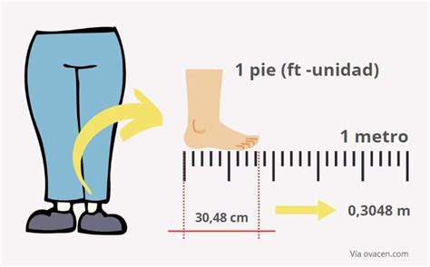 Medir de Metros a Pies: A Comprehensive Guide to Length Conversion