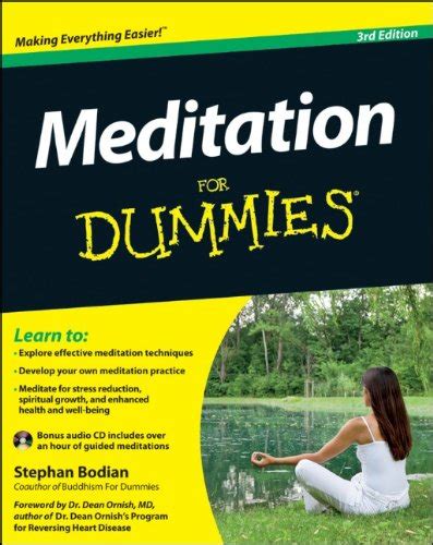 Meditation For Dummies with Audio CD Epub