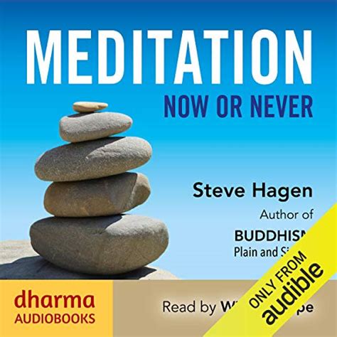 Meditation Now or Never Epub