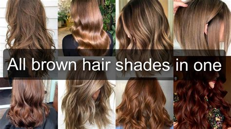 Medium Brown Hair: Your Guide to Hair Color & Stunning Styles