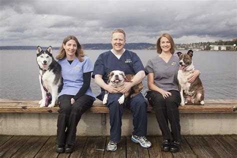 Meet the Vets of Virginia Beach: A Team of Compassionate and Skilled Professionals