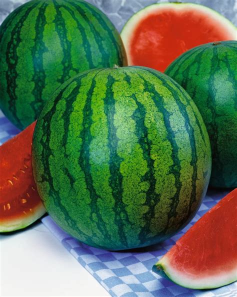 Megu-Melons: The Sweet and Refreshing Superfruit