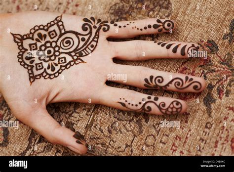 Mehndi for the Inspired Artist 50 contemporary patterns and projects inspired by traditional henna art Kindle Editon