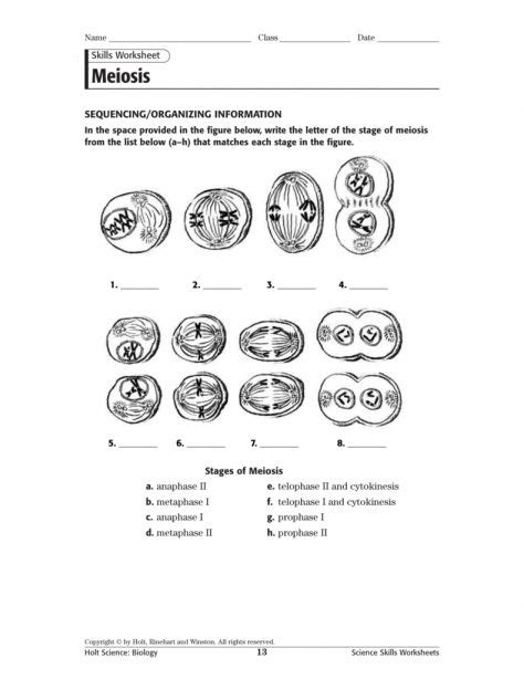 Meiosis Skills Holt Science Answer Key Doc