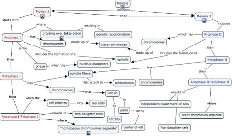 Meiosis Terminology Concept Map Answers Doc