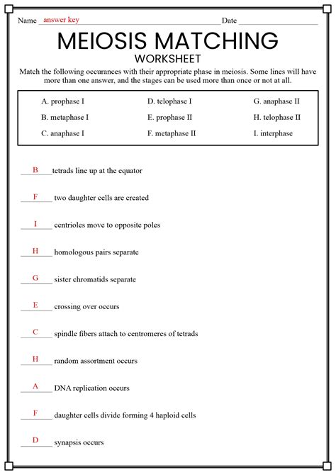 Meiosis Worksheet Answer Key Epub