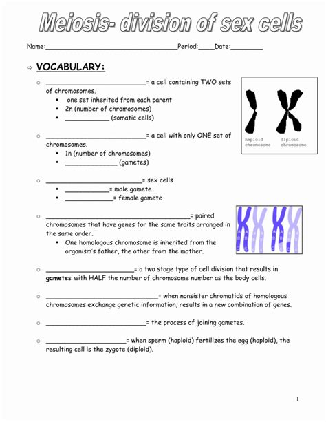 Meiosis Worksheet Vocabulary Answers Kindle Editon