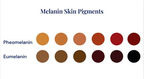 Melanin: The Pigment Behind the Depth