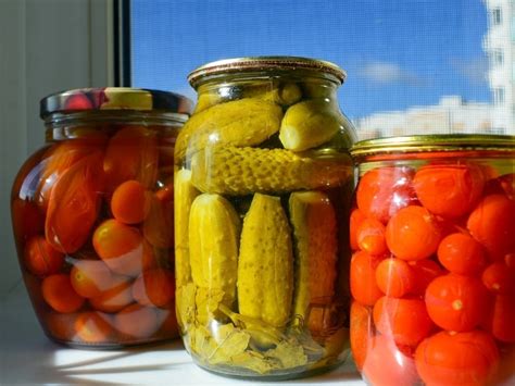 Melisathepicklee: A Comprehensive Guide to the Popular Pickle Business