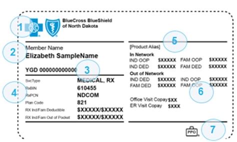 Member ID on Insurance Card: A Comprehensive Guide