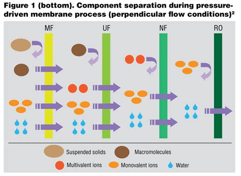 Membrane Technology PDF