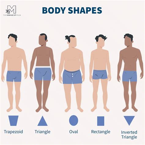 Men Body Type Chart
