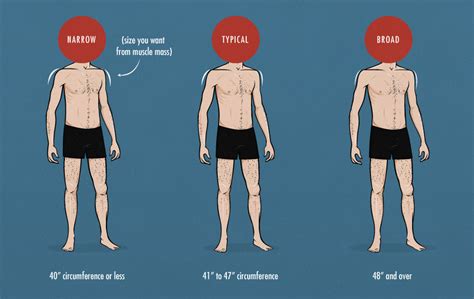 Men typically have broader shoulders, narrower hips, and a longer torso than women.