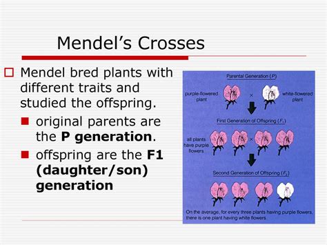 Mendel's Daughter Epub