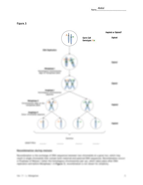 Mendel And Meiosis Reinforcement Answer Key Doc