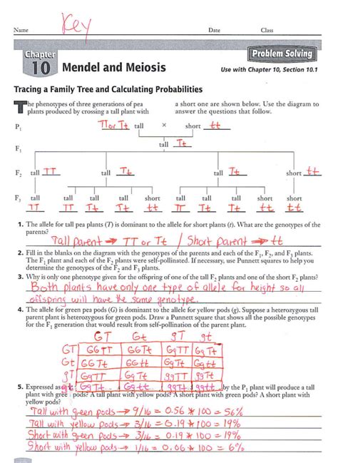 Mendel Laws Of Inheritance Worksheet Answers Reader