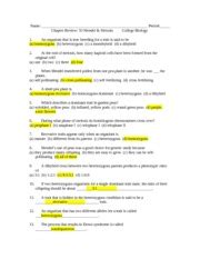 Mendel Meiosis Reinforcement Study Guide Answer Key PDF