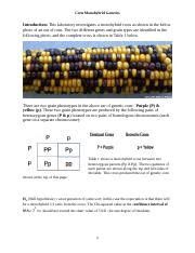 Mendelian Genetics Of Corn Answers Reader