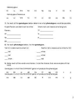 Mendelian Genetics Packet Answer Key Doc