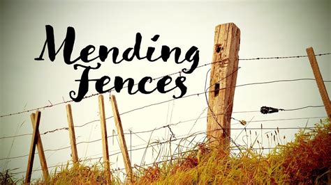 Mending Fences PDF