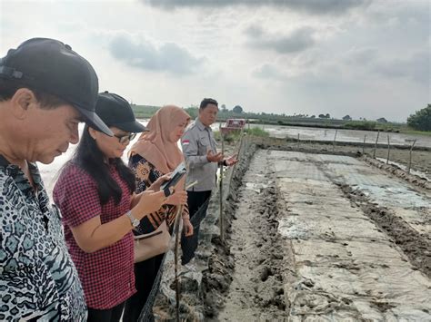 Meningkatkan produksi pangan: