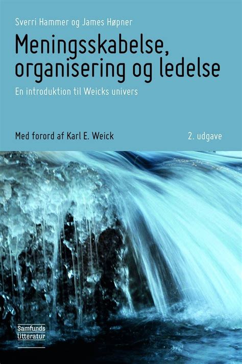 Meningsskabelse, organisering og ledelse Ebook Reader