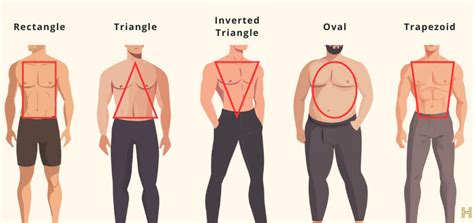 Mens Body Type Chart
