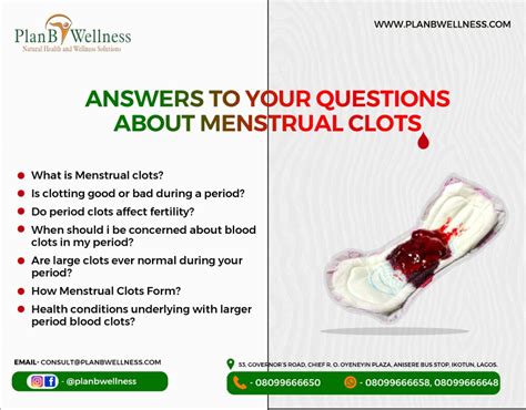 Menstrual Blood Questions And Answers Kindle Editon