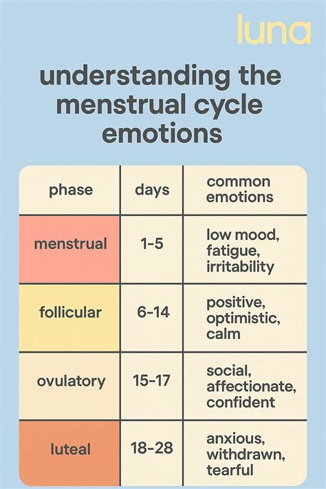 Menstrual Cycle Mood Chart