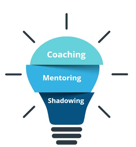 Mentoring and Shadowing Programs: